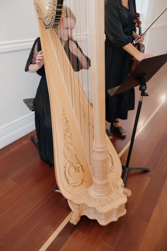 Close-up of harp strings being played